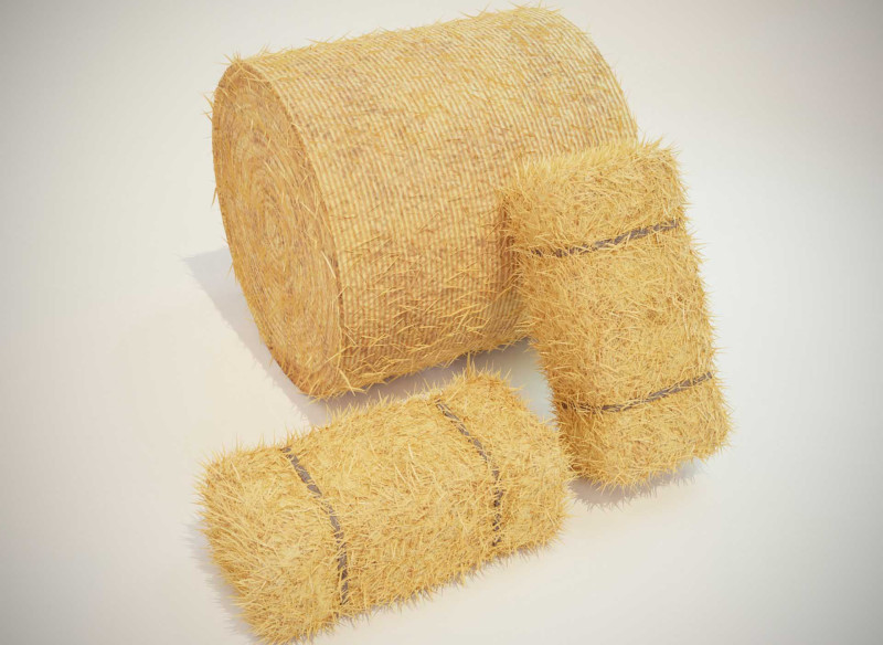 Hay Bale Square and Round 3D Model .c4d .max .obj .3ds .fbx .stl .blend 