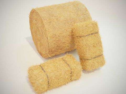 Hay Bale Square and Round 3D Модель