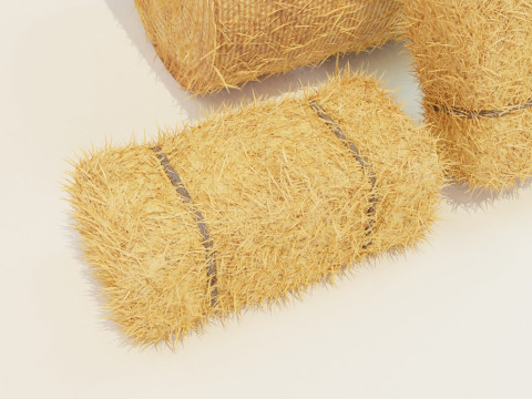 Hay Bale Square and Round 3D Model