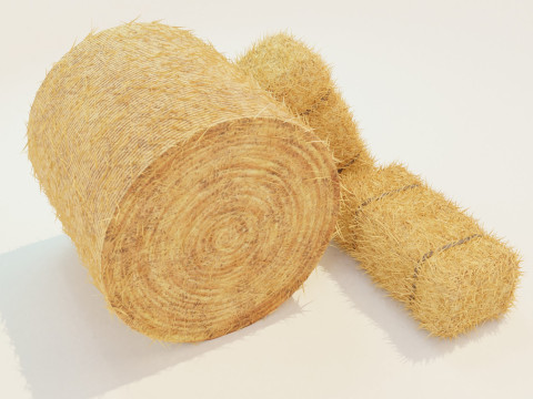 Hay Bale Square and Round 3D Model