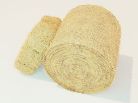 Hay Bale Square and Round 3D Model