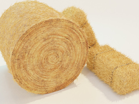 Hay Bale Square and Round 3D Model