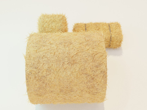 Hay Bale Square and Round 3D Model