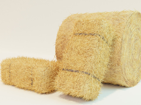 Hay Bale Square and Round 3D Model