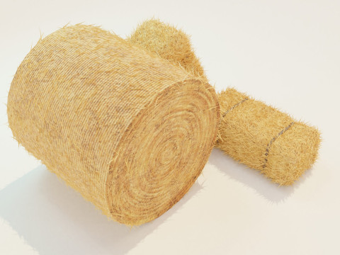 Hay Bale Square and Round 3D Model