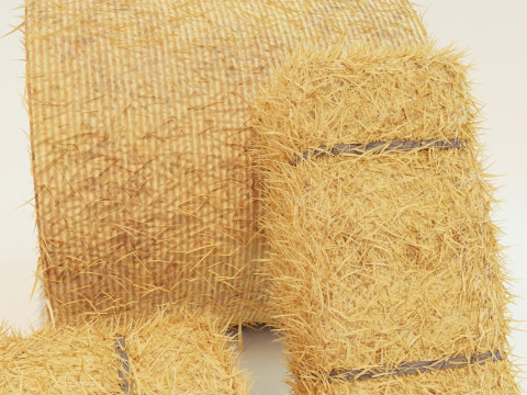 Hay Bale Square and Round 3D Model