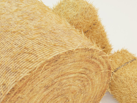 Hay Bale Square and Round 3D Model