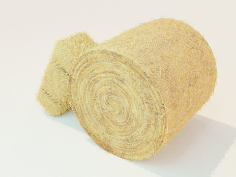 Hay Bale Square and Round 3D Model