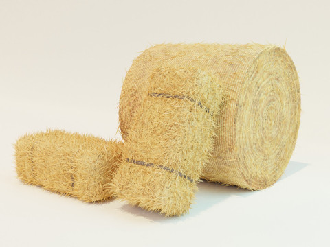 Hay Bale Square and Round 3D Model