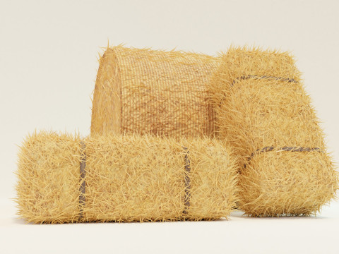 Hay Bale Square and Round 3D Model