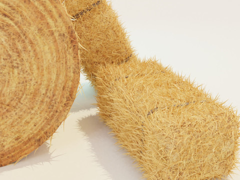 Hay Bale Square and Round 3D Model