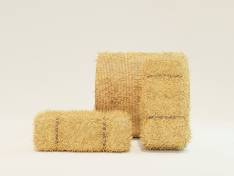 Hay Bale Square and Round 3D Model