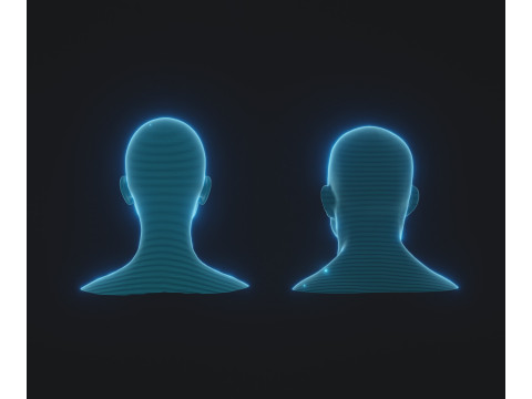 Hologram Male and Female Head Animated with Facial Expressions Modèle 3D