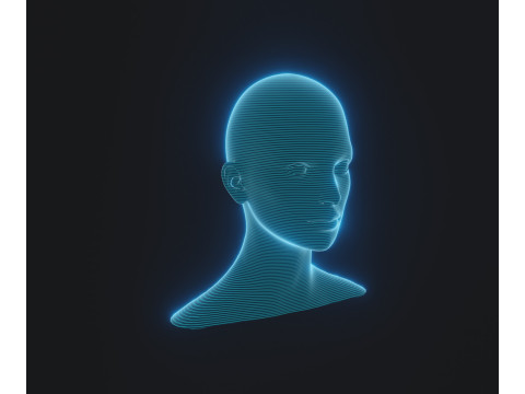 Hologram Male and Female Head Animated with Facial Expressions Modèle 3D