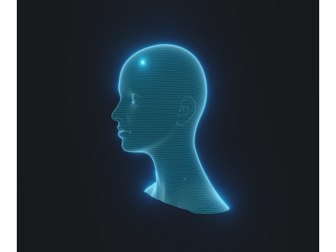 Hologram Male and Female Head Animated with Facial Expressions Modèle 3D