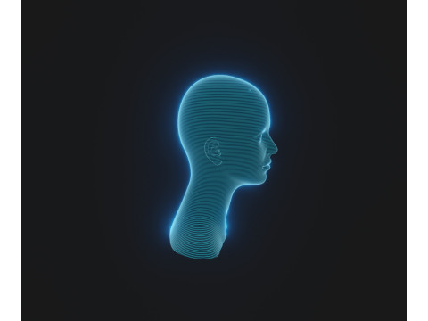 Hologram Male and Female Head Animated with Facial Expressions Modèle 3D