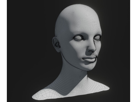 Hologram Male and Female Head Animated with Facial Expressions Modèle 3D