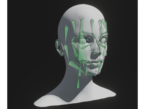 Hologram Male and Female Head Animated with Facial Expressions Modèle 3D