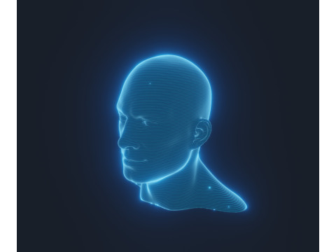 Hologram Male and Female Head Animated with Facial Expressions Modèle 3D