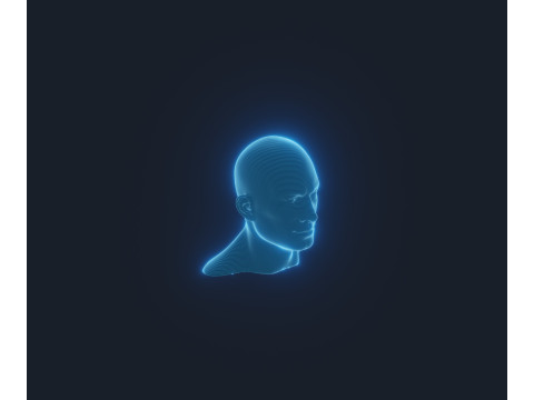 Hologram Male and Female Head Animated with Facial Expressions Modèle 3D