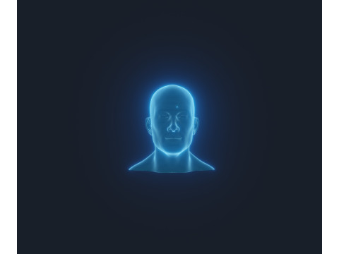 Hologram Male and Female Head Animated with Facial Expressions Modèle 3D