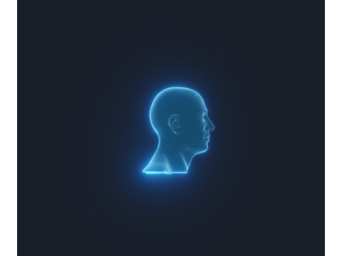 Hologram Male and Female Head Animated with Facial Expressions Modèle 3D