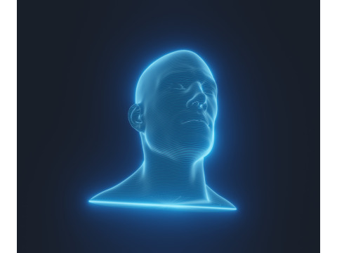 Hologram Male and Female Head Animated with Facial Expressions Modèle 3D