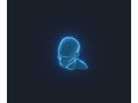 Hologram Male and Female Head Animated with Facial Expressions Modèle 3D