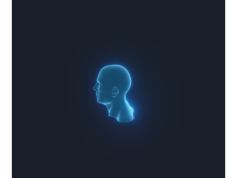 Hologram Male and Female Head Animated with Facial Expressions Modèle 3D