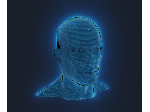 Hologram Male and Female Head Animated with Facial Expressions Modèle 3D
