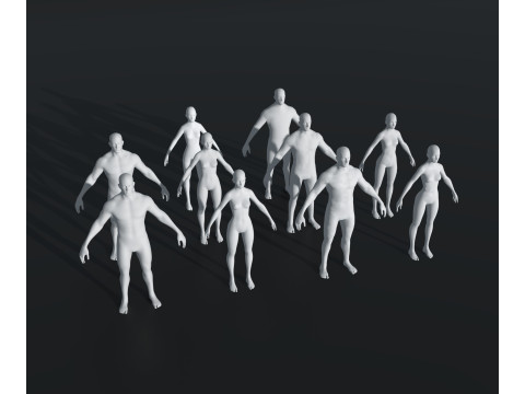 Human Body Base Mesh 28 Animations 10 Models Pack 3D Модель