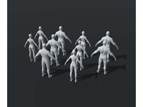 Human Body Base Mesh 28 Animations 10 Models Pack 3D Model