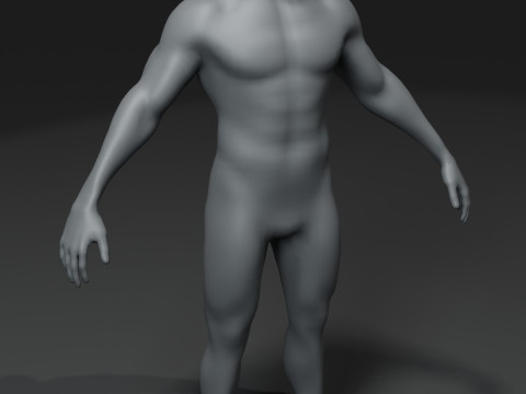 Human Body Base Mesh 28 Animations 10 Models Pack 3D Model