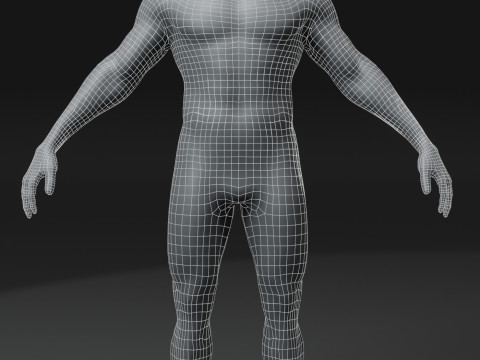 Human Body Base Mesh 28 Animations 10 Models Pack 3D Model