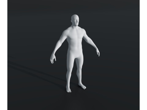Human Body Base Mesh 28 Animations 10 Models Pack 3D Model