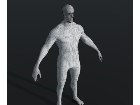 Human Body Base Mesh 28 Animations 10 Models Pack 3D Model