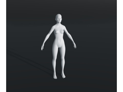 Human Body Base Mesh 28 Animations 10 Models Pack 3D Model
