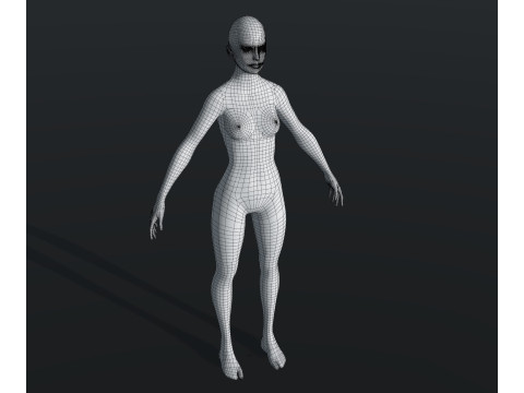 Human Body Base Mesh 28 Animations 10 Models Pack 3D Model