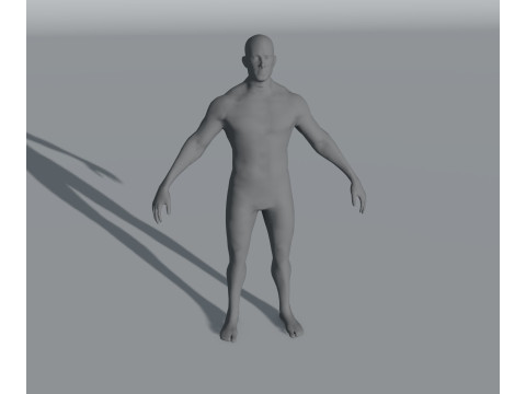 Human Body Base Mesh 28 Animations 10 Models Pack 3D Model