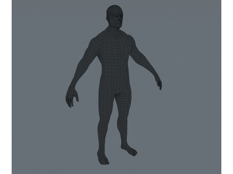Human Body Base Mesh 28 Animations 10 Models Pack 3D Model