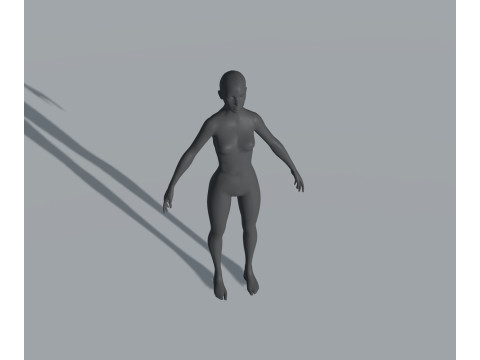 Human Body Base Mesh 28 Animations 10 Models Pack 3D Model