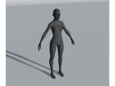 Human Body Base Mesh 28 Animations 10 Models Pack 3D Model