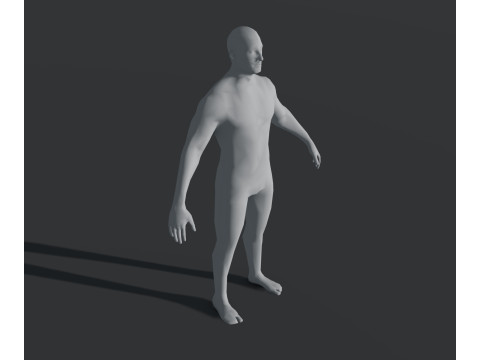 Human Body Base Mesh 28 Animations 10 Models Pack 3D Model