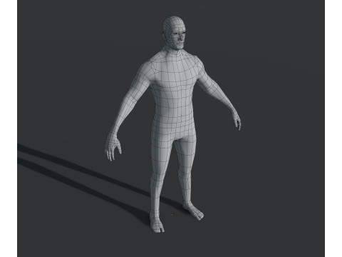 Human Body Base Mesh 28 Animations 10 Models Pack 3D Model