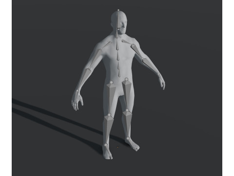 Human Body Base Mesh 28 Animations 10 Models Pack 3D Model