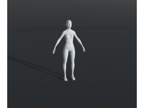 Human Body Base Mesh 28 Animations 10 Models Pack 3D Model