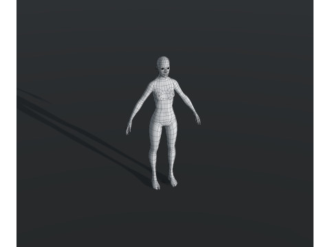 Human Body Base Mesh 28 Animations 10 Models Pack 3D Model