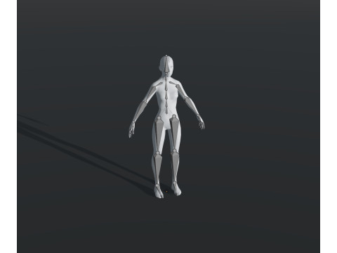 Human Body Base Mesh 28 Animations 10 Models Pack 3D Model