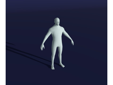 Human Body Base Mesh 28 Animations 10 Models Pack 3D Model