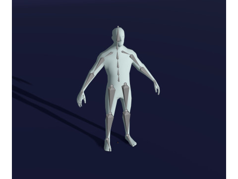Human Body Base Mesh 28 Animations 10 Models Pack 3D Model